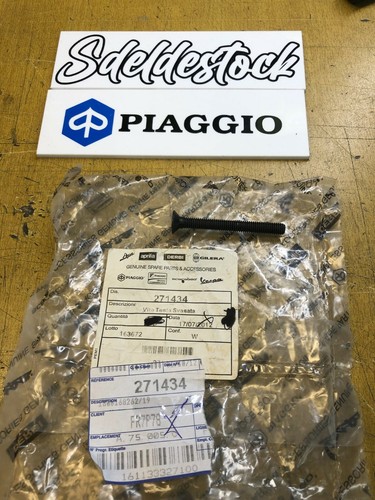 Vis piaggio 271434 - 1, 1b006376