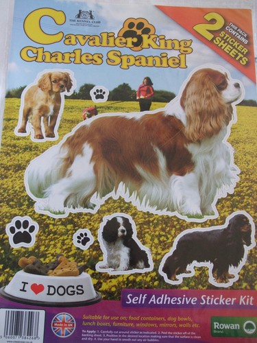 Stickers chien cavalier king - stickers,