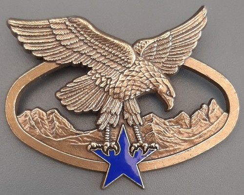 Insigne brevet alpiniste - insigne,