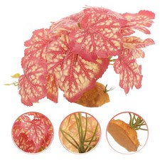 Plantes À Reptiles Accessoire