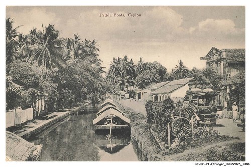 Bfp1 0693 sri - -, padda