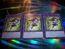 3x Chevreuil, Hunting Scout of