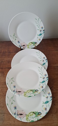 Assiettes plates luminarc - , 4
