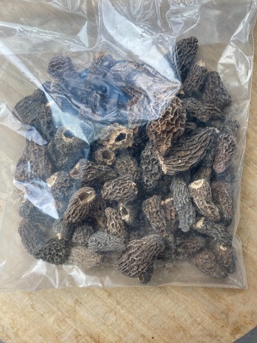 Morilles sans pieds - pieds, 1