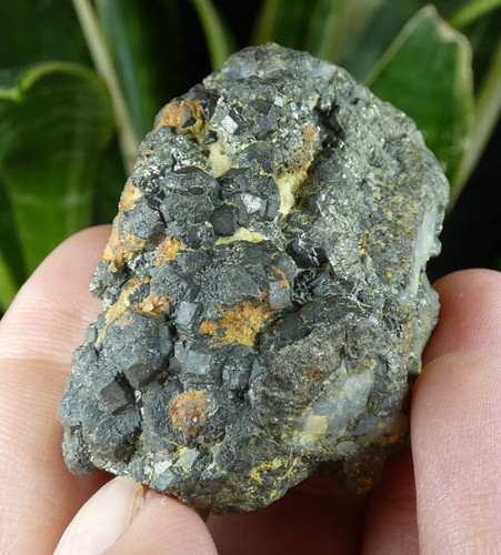 Pyrite galène pontgibaud - pyrite,
