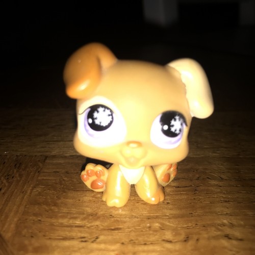Authentic lps petshop 760 - authentic,