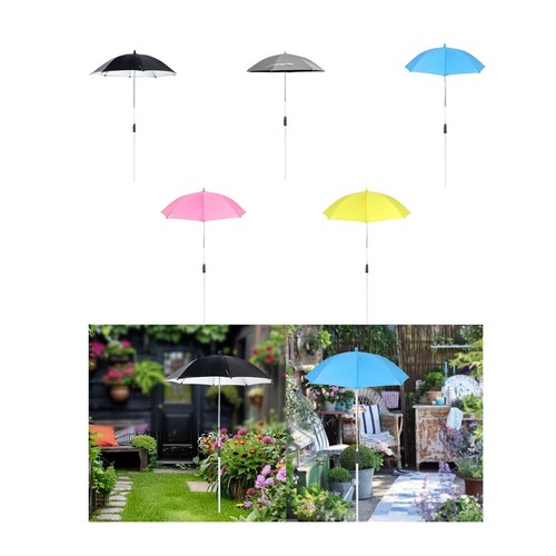 Plante shade sun - shade, protection
