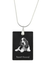 Basset Hound -