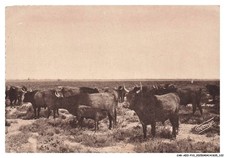 CAR-AEOP10-0522-13 - EN