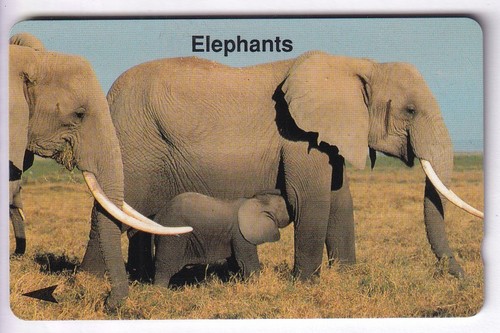 Asie telecarte phonecard - asie,