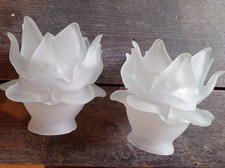 PAIRE TULIPES ANCIENNES PATE