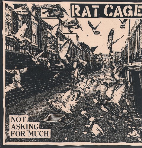 Rat cage not - not, for