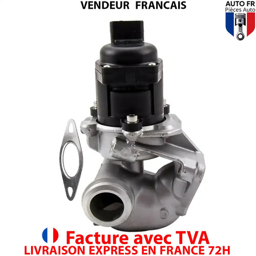 Vanne egr pour - vanne, 307