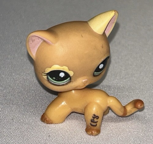 Hasbro lps original - c2, little