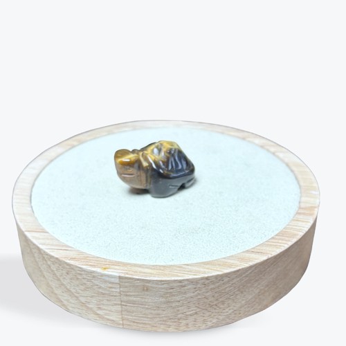 Tiger eye turtle - 1,