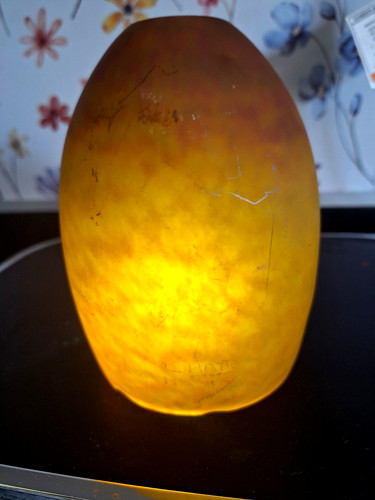 Tulipe delattre nancy pate - ,