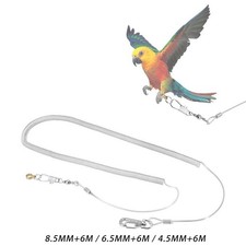 Laisse d'oiseau chaîne