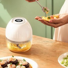 Electric Mini Garlic Chopper 250ml Cordless Multi Functional Kitchen Vegetable