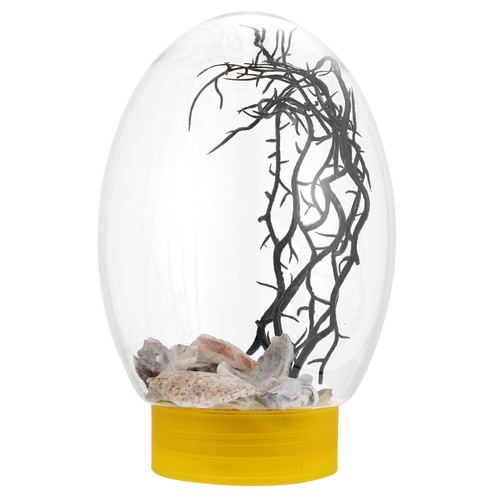 Vivier poisson petits - poisson,