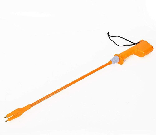 Cattle prod livestock - cattle,