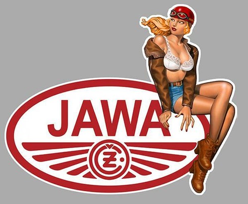 Jawa right pin droite - ,