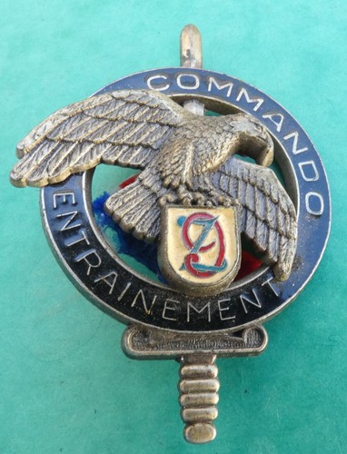 Insigne brevet cec centre - insigne,
