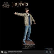 Statue Life Size Harry POTTER