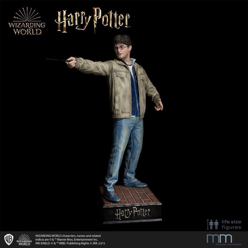 Statue life size - statue, harry
