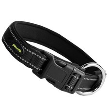 Collier pour chien, nylon