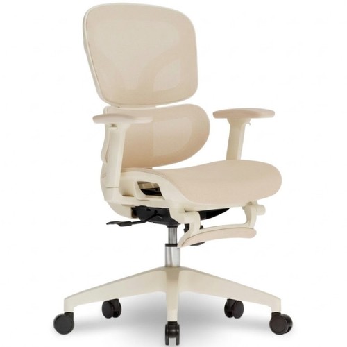 Chaise bureau ergonomique - chaise,