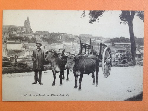 Cpa langon landes échasse - langon,