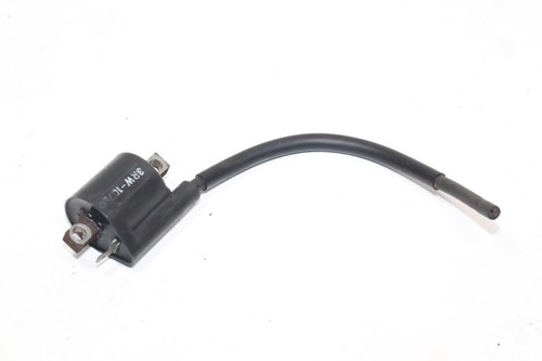 Bobine yamaha 125 e dte - 125,