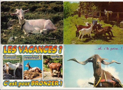 Lot cartes postales - lot,