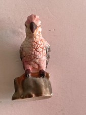 Fève - Les Perroquets (2005)