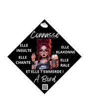 Plaque Ventouse Voiture