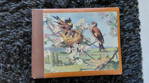 Album 408 cartes - 408,