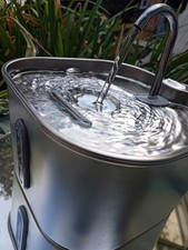 Fontaine à eau Chat / Chien