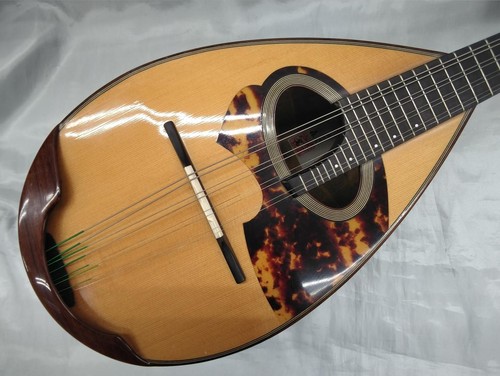 Ishikawa mandolin 700sp - mandolin, no.
