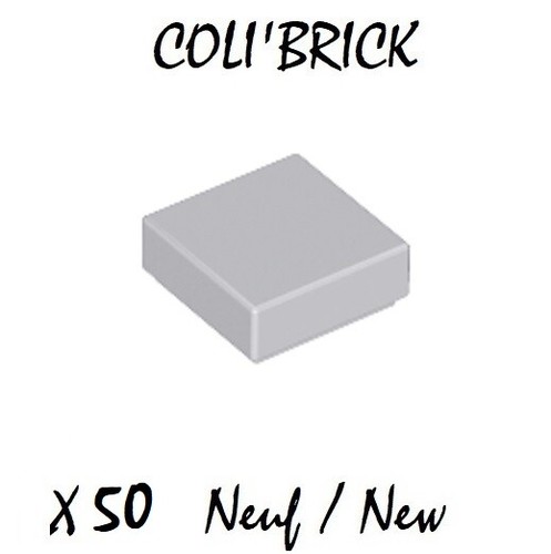 Lego 3070b 50x plaque - 50x, lisse