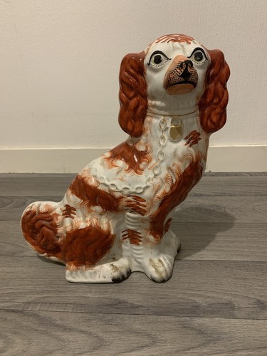 Ancien chien cavalier king - ancien,