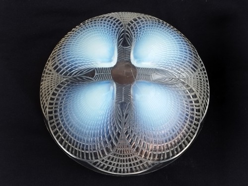Coupe modele coquille design