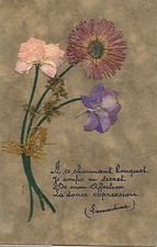 FANCY POSTCARD / LAMARTINE / COLLAGE DRIED FLOWERS / POEM