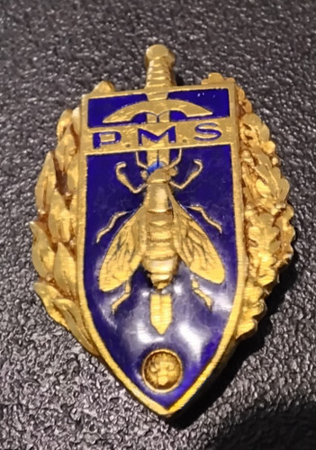 Insigne militaire original - insigne,