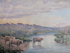 Troupeau de Vaches. Aquarelle