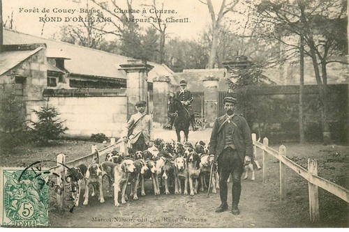 Aisne foret coucy basse - foret,