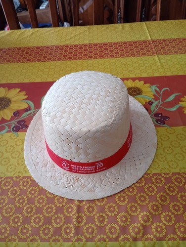 Chapeau paille canotier - paille,