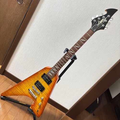 Rare guitare lyon - lyon, washburn