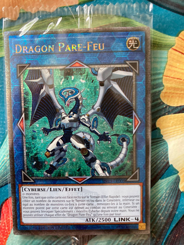 Dragon pare feu - gi,