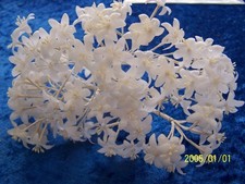 Antique Wax Flower Bouquet for Bridal Wreaths. Ref No. 486