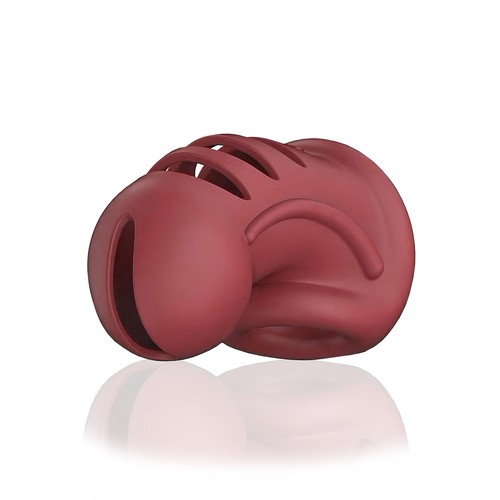 Sextoy fetish cage pénis - sextoy,